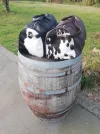 Small Duffle